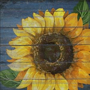 Meet your Posher, Marcie